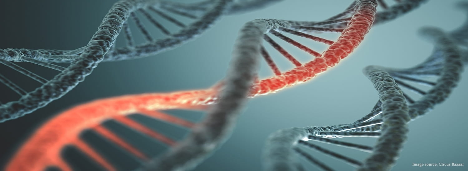 Deciphering the DNA Code