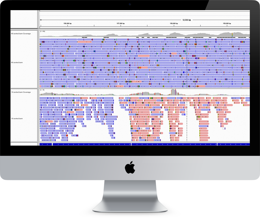 Genomic Visualization